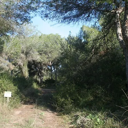 Recati Perello (Valencia)